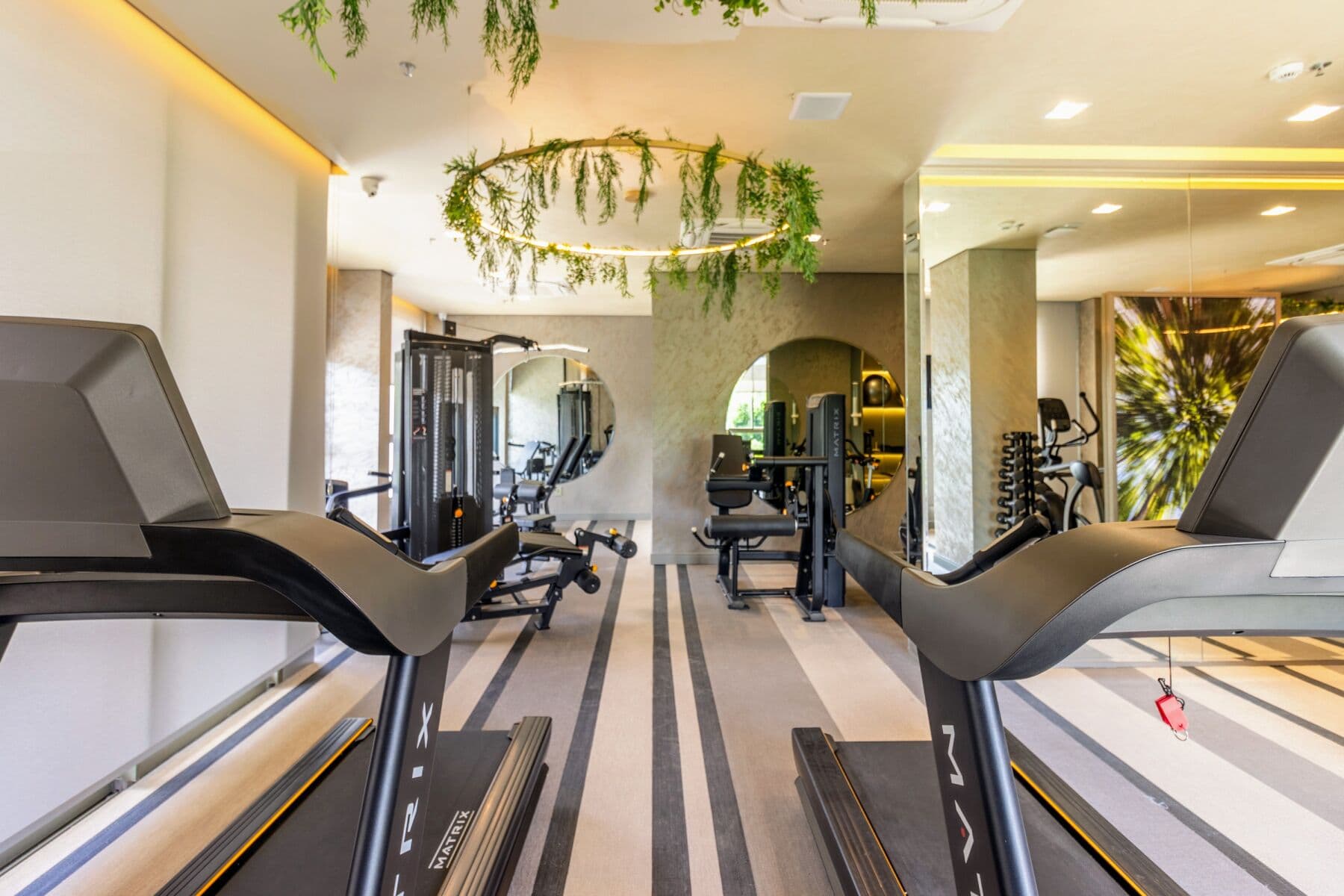 Charlie Bothanic Campo Belo