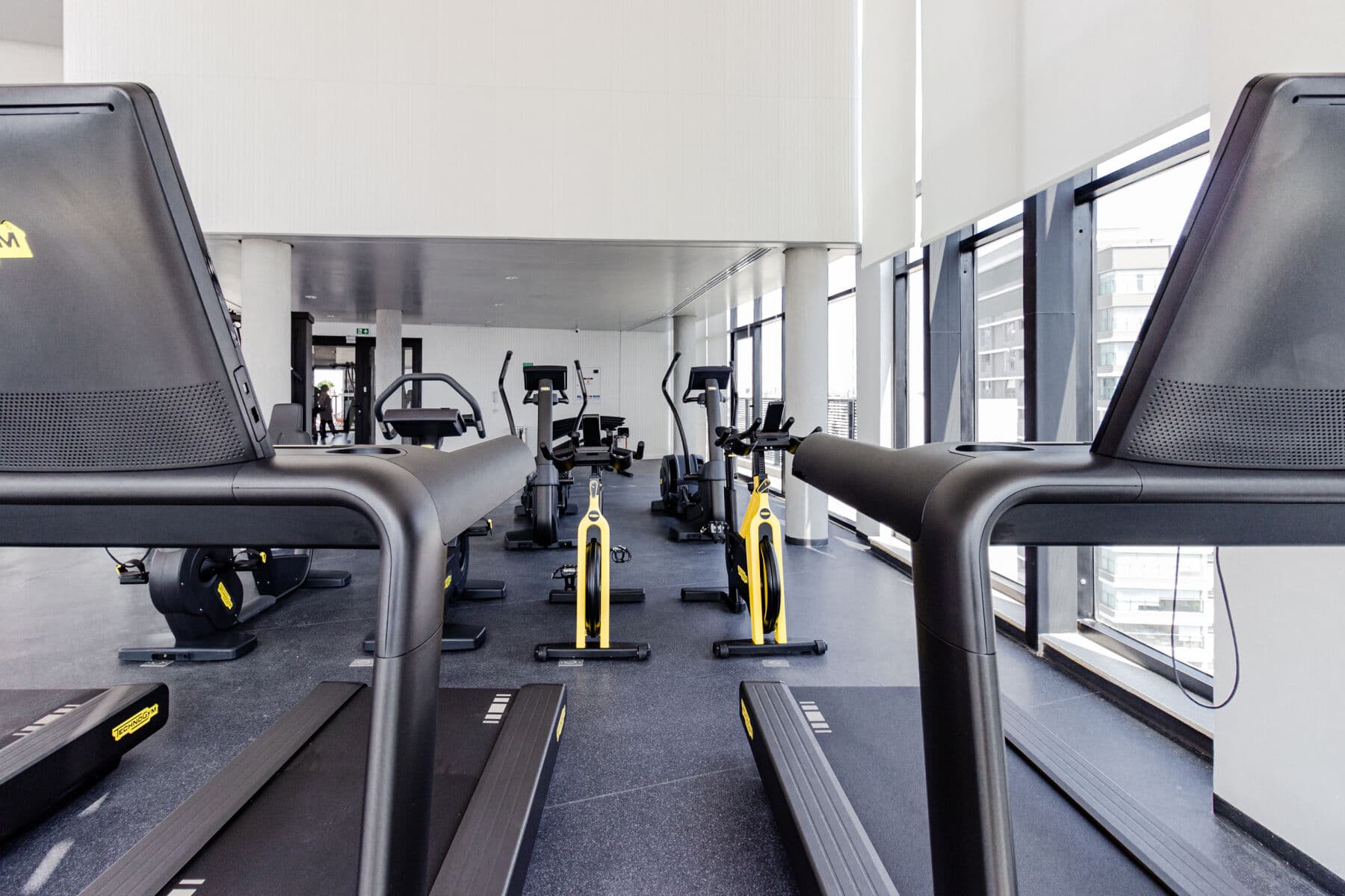 Charlie Window Moema