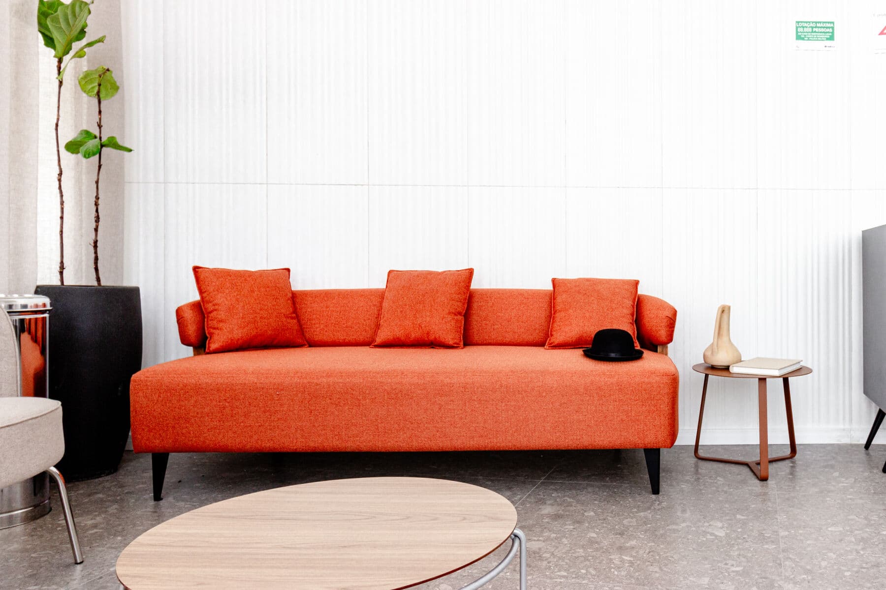 Charlie Window Moema