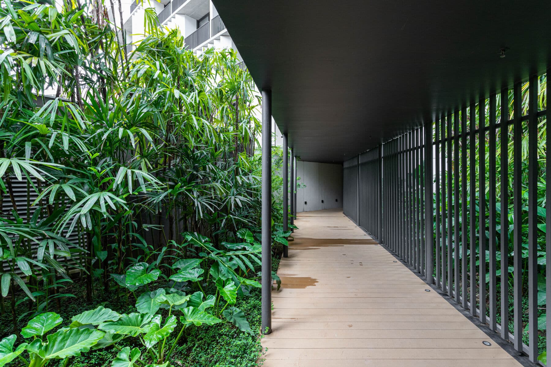 Charlie Onze22 Vila Madalena