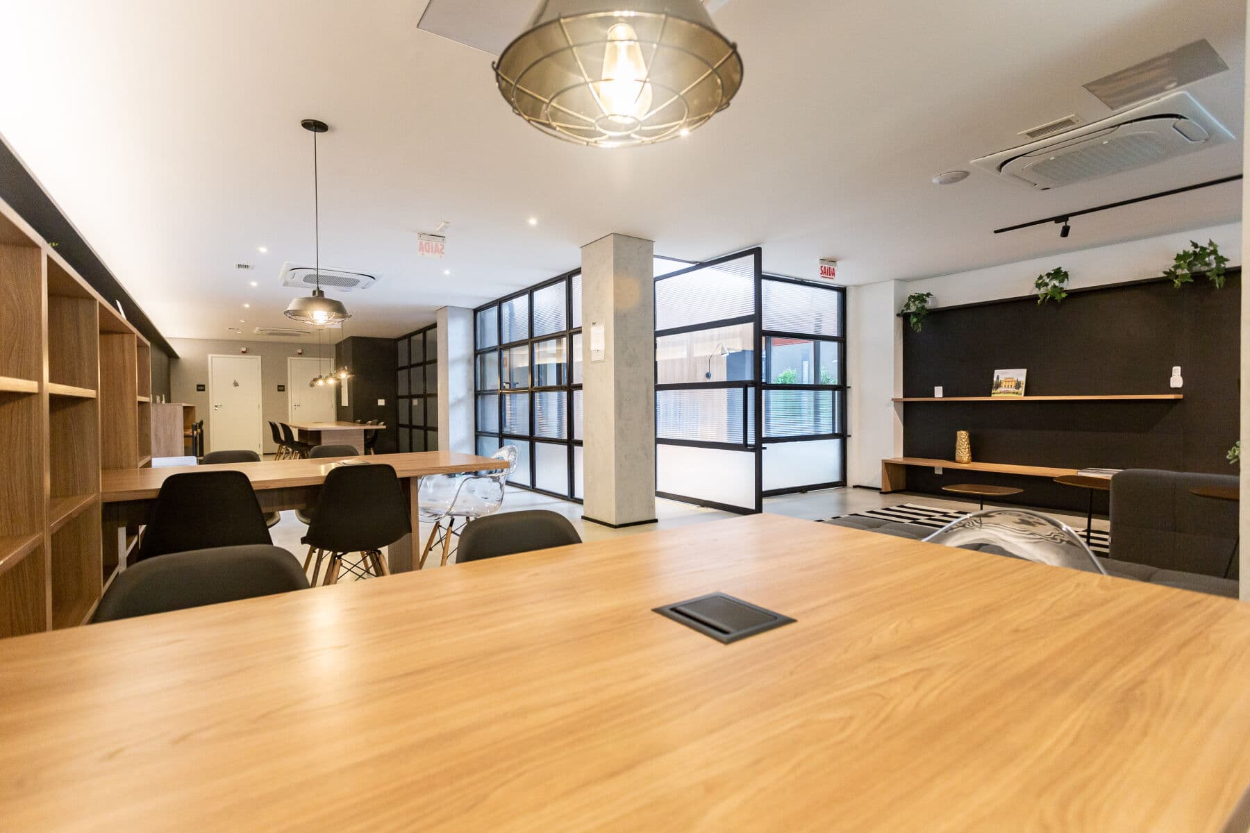 Charlie Sabiá Moema