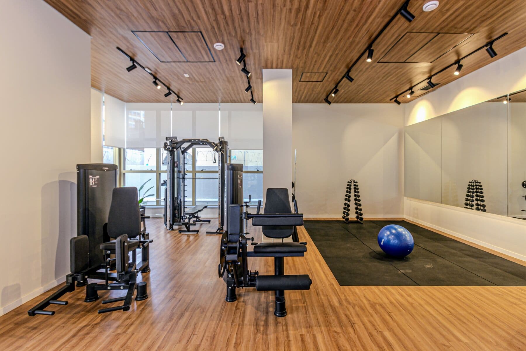 Charlie Nik Paradiso