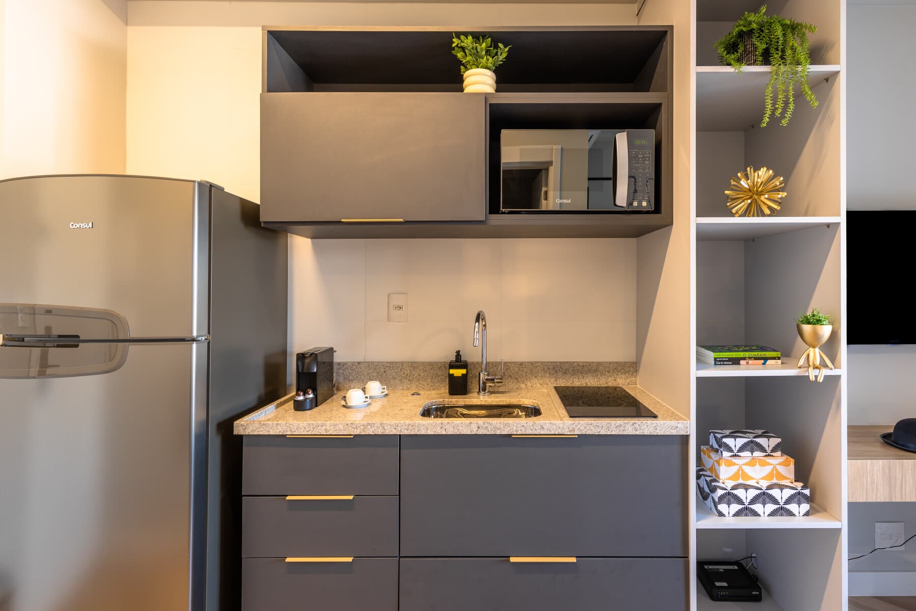 Charlie Thera Ibirapuera