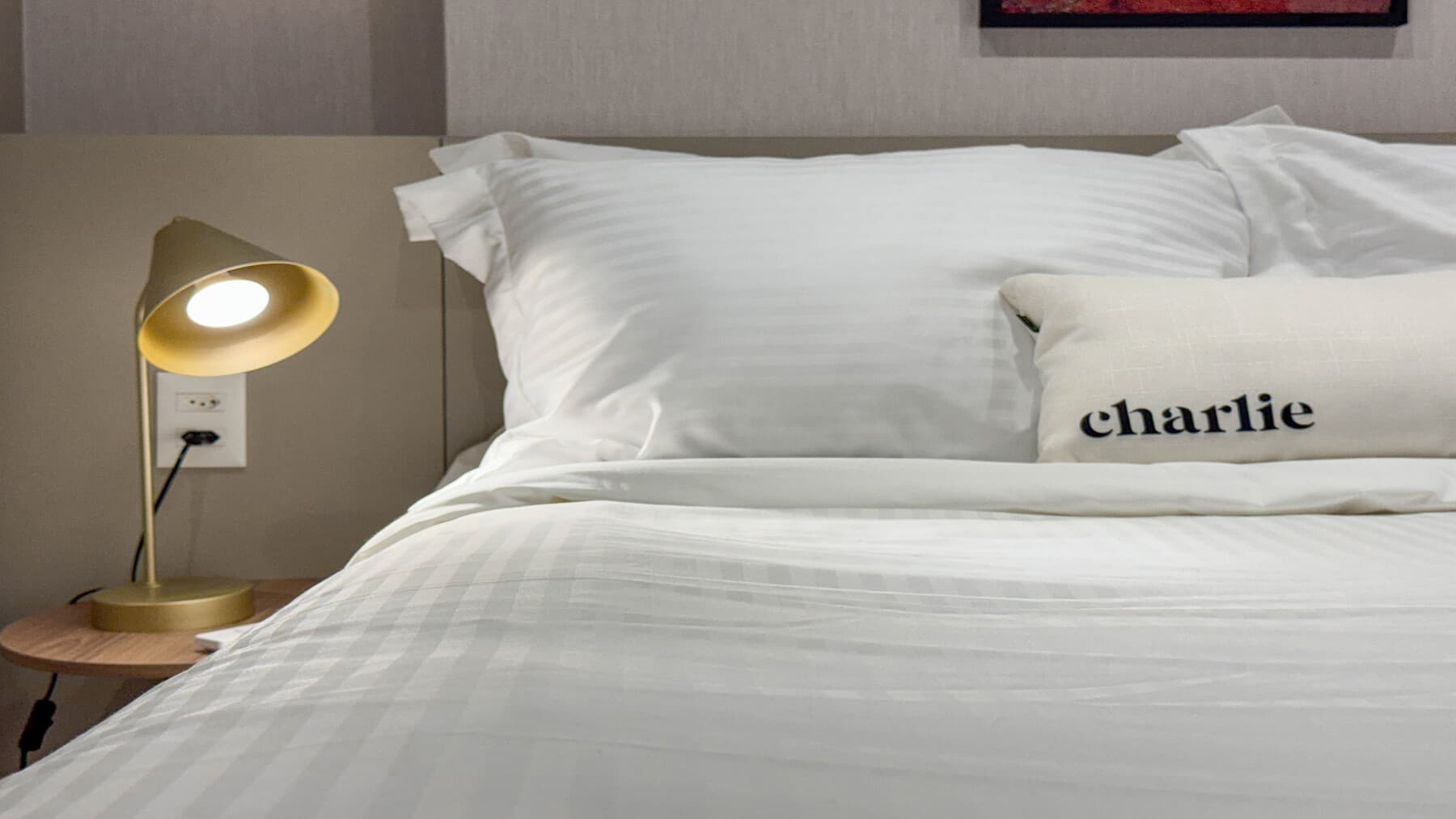 Charlie On The Sea Arpoador